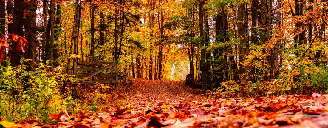 Quel peignoir pour les matins d’automne ?